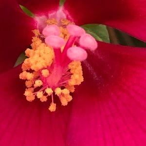 Meet your Posher, Hailey